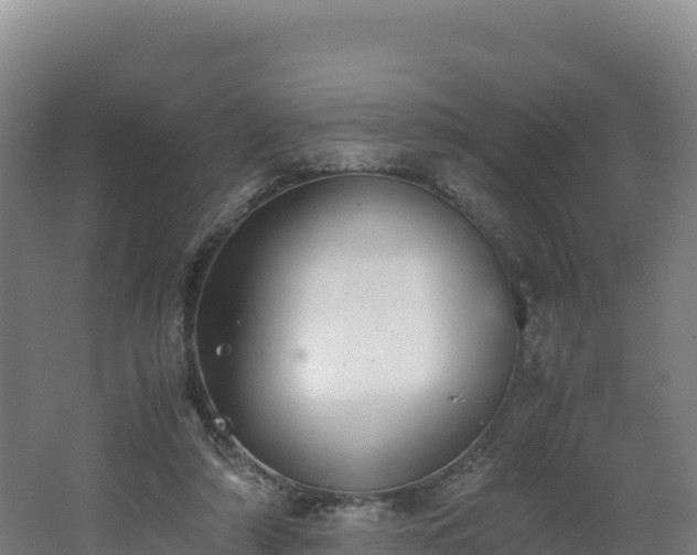 X0000062620306200512230953