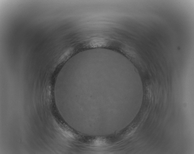 X0000062620308200512230953