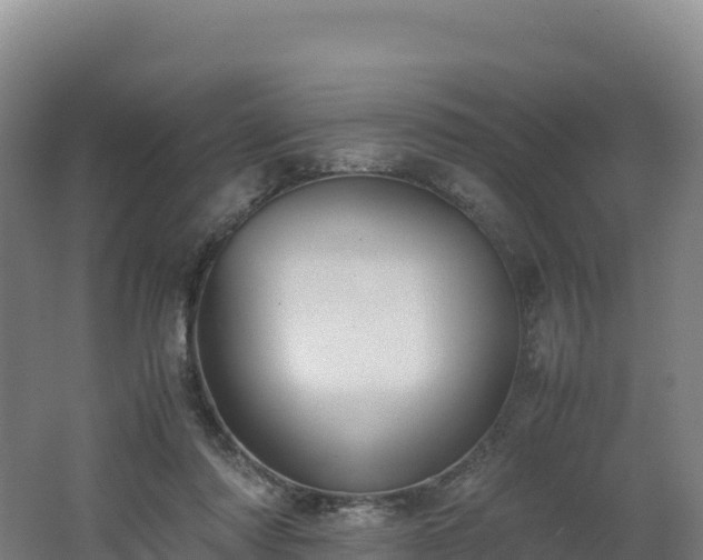 X0000062620310200512230953