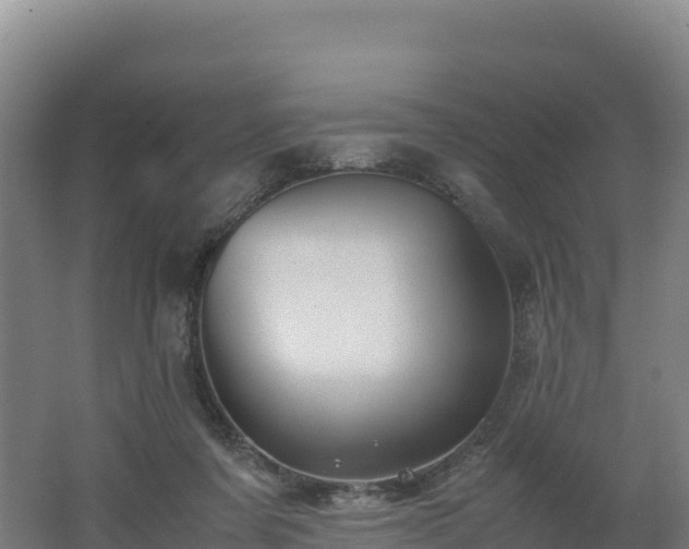 X0000062620311200512230953