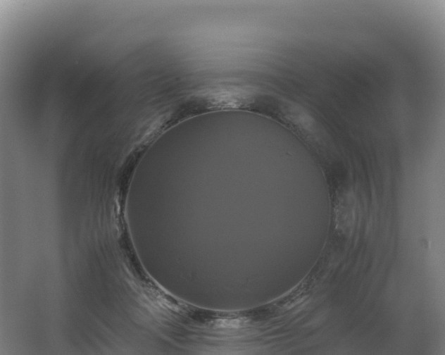 X0000062620314200512230953