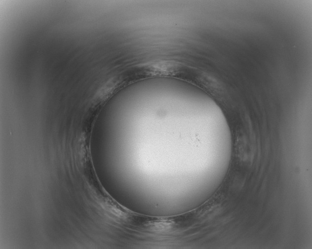 X0000062620318200512230953