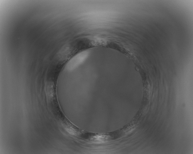 X0000062620323200512230953