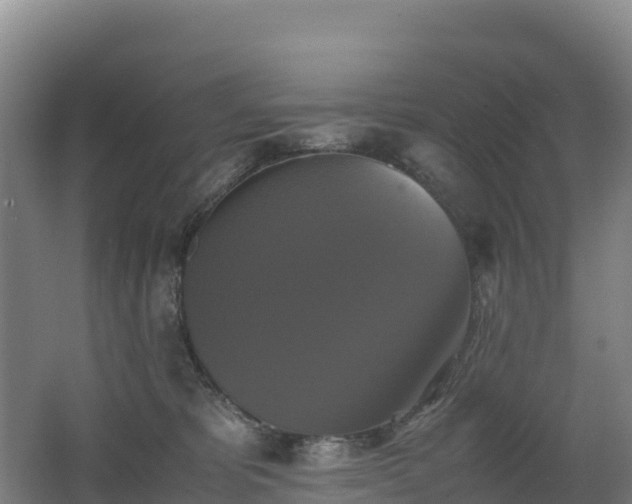 X0000062620325200512230953