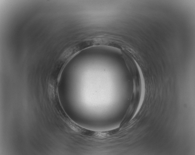 X0000062620333200512230953