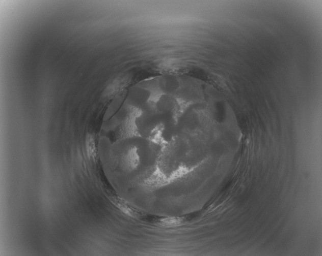 X0000062620335200512230953