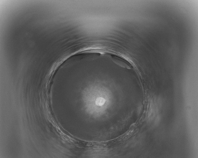 X0000062620337200512230952
