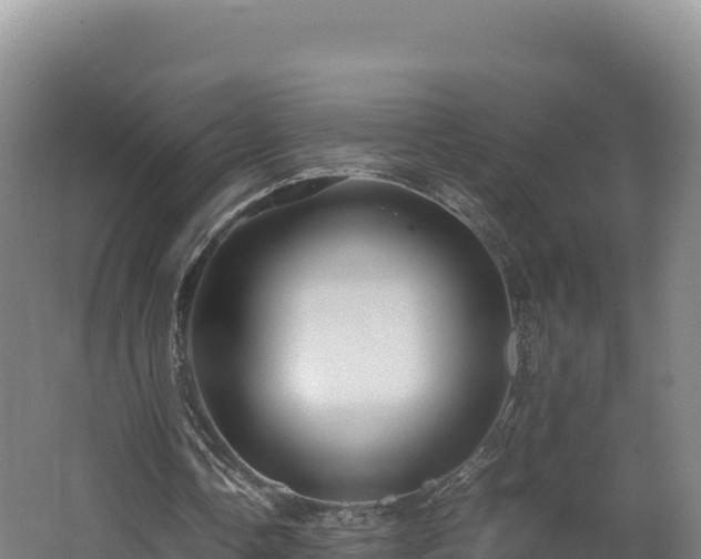 X0000062620338200512230952