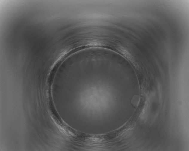 X0000062620347200512230952