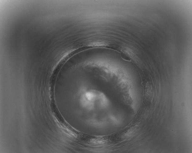 X0000062620351200512230952