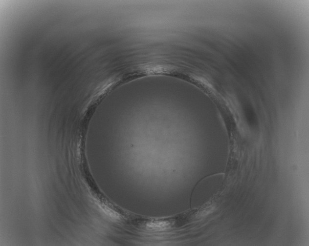 X0000062620357200512230952