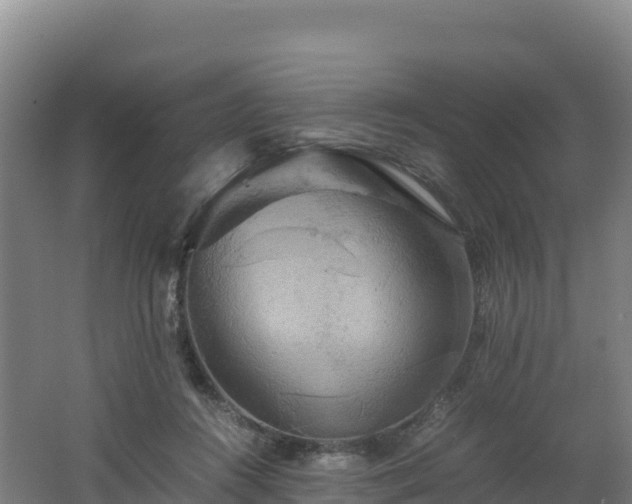 X0000062620360200512230953
