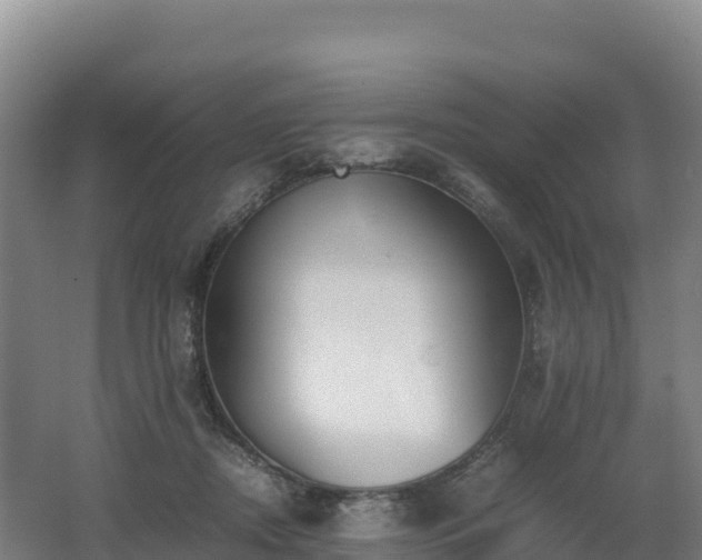 X0000062620362200512230953