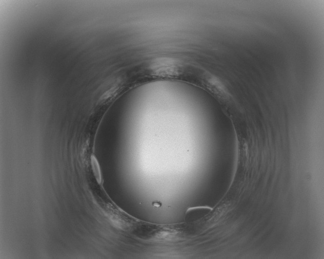 X0000062620364200512230953