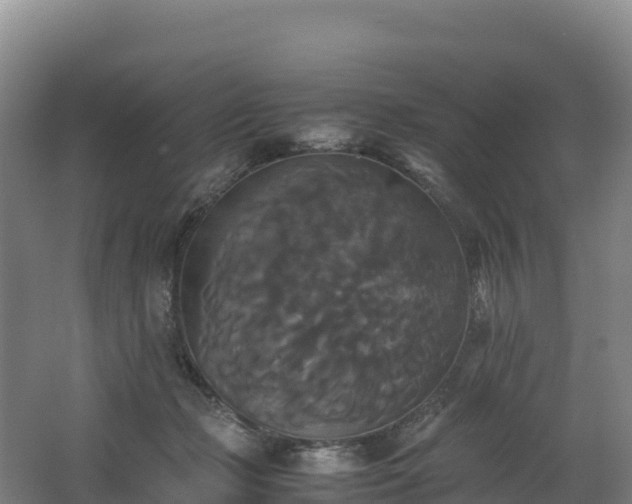 X0000062620365200512230953