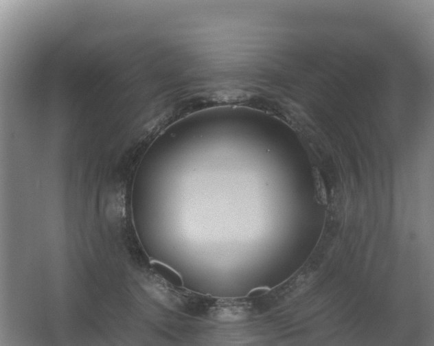 X0000062620368200512230953