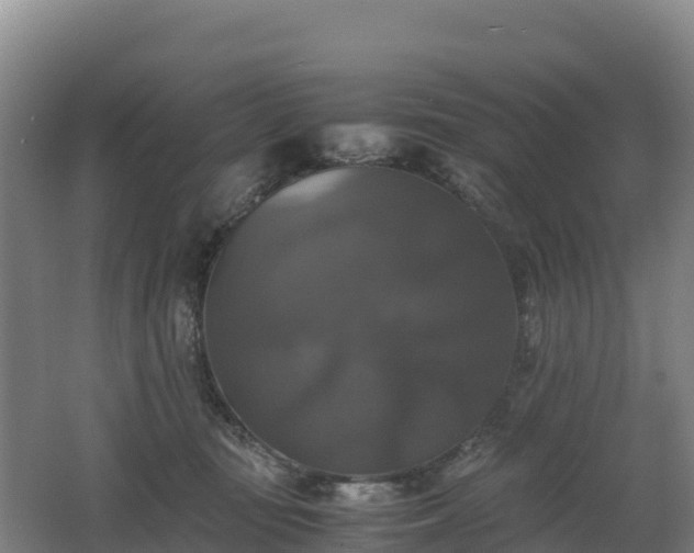 X0000062620371200512230953