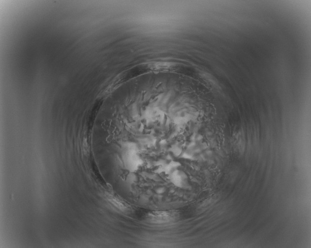X0000062620381200512230953