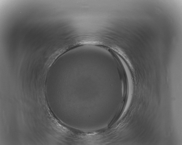 X0000062620385200512230952