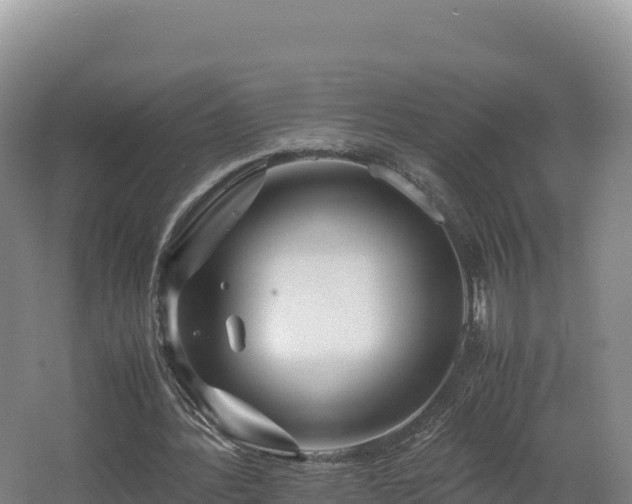 X0000062620388200512230952