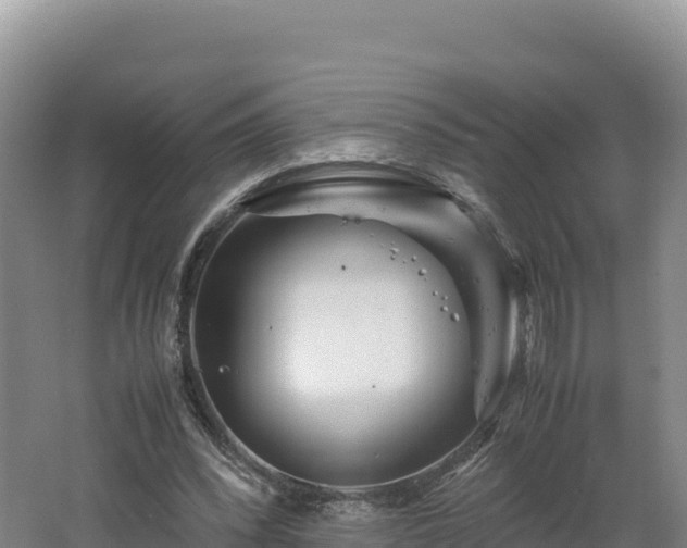 X0000062620392200512230952