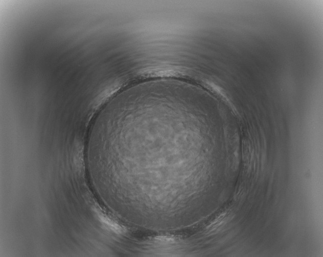 X0000062620394200512230952