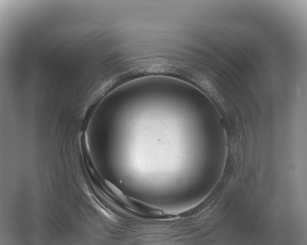 X0000062620397200512230952
