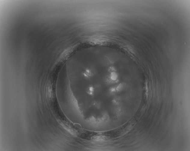X0000062620408200512230952