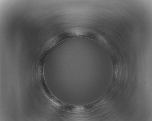 X0000062620410200512230952