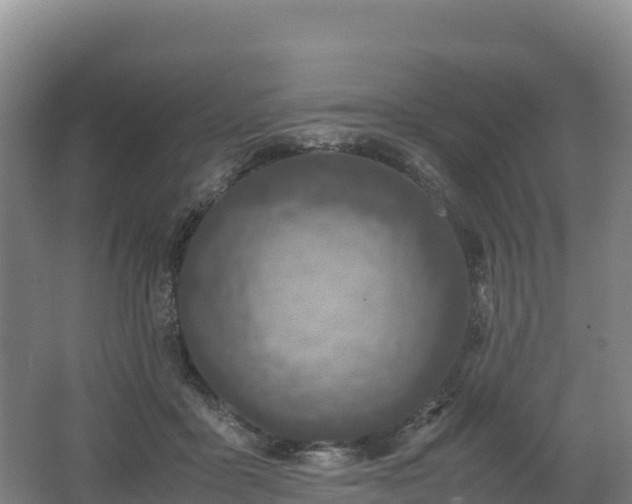 X0000062620411200512230952