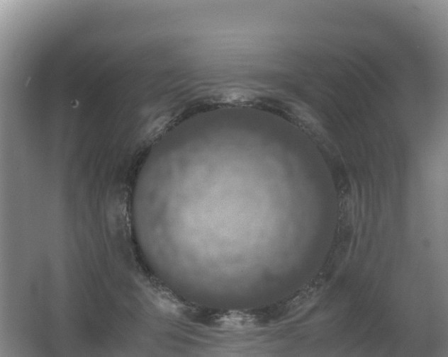 X0000062620415200512230952