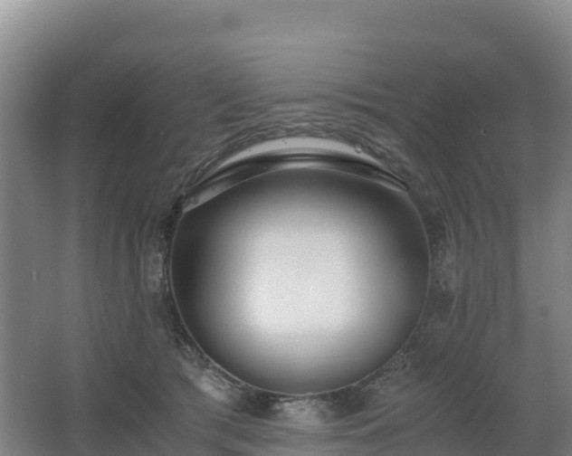 X0000062620417200512230952