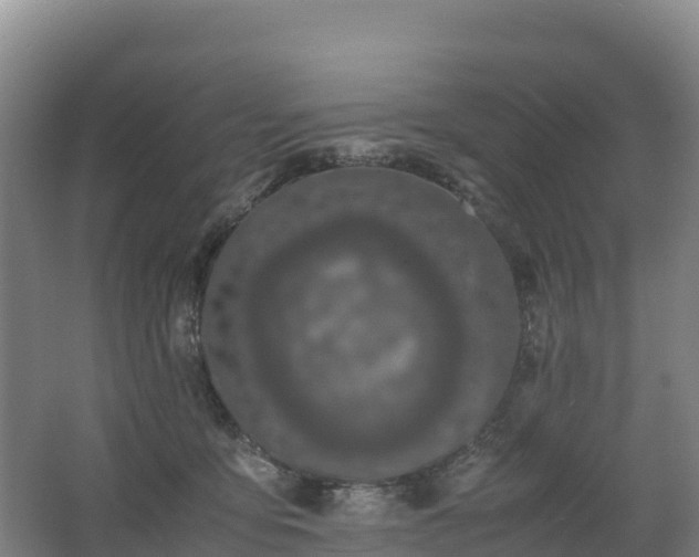 X0000062620419200512230952