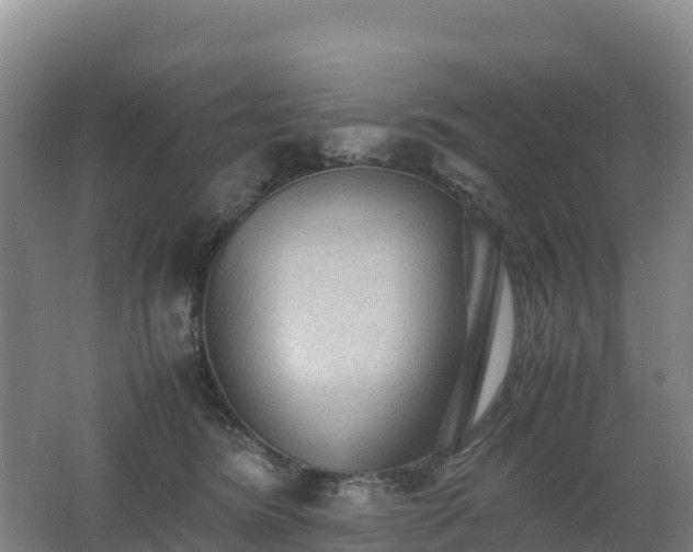 X0000062620420200512230951