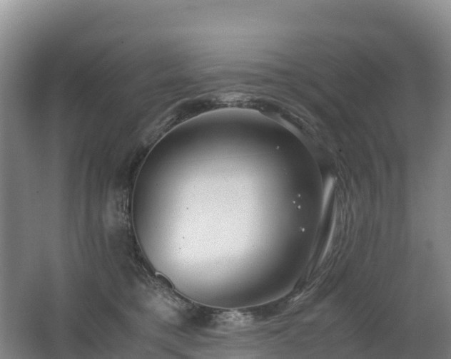X0000062620421200512230951