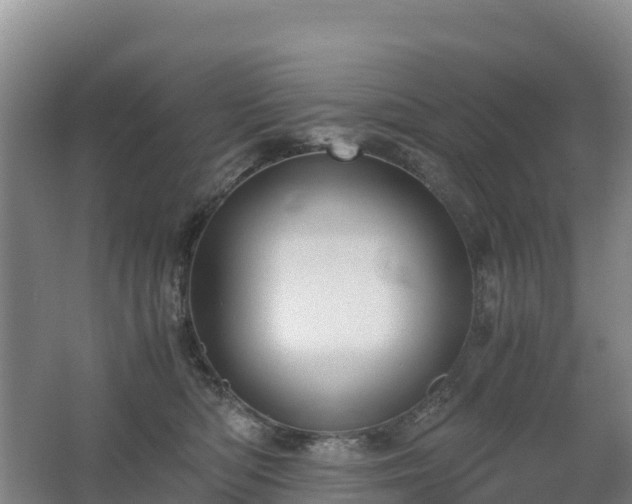 X0000062620422200512230951