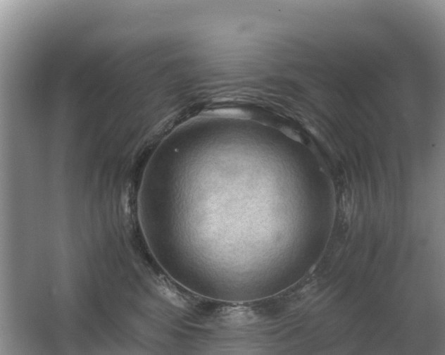 X0000062620424200512230951