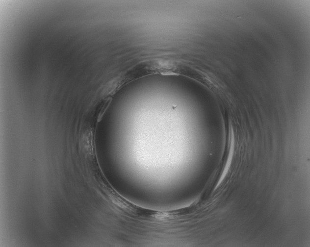 X0000062620425200512230951