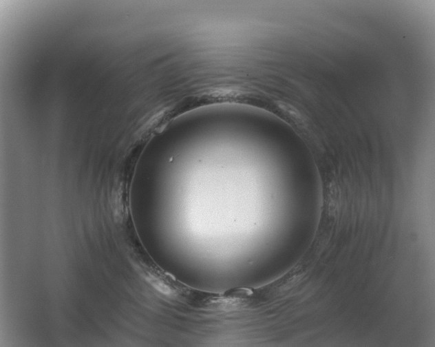 X0000062620428200512230951