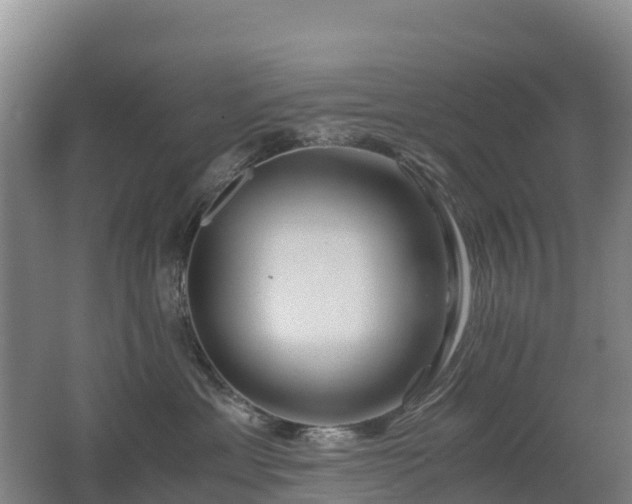 X0000062620429200512230951