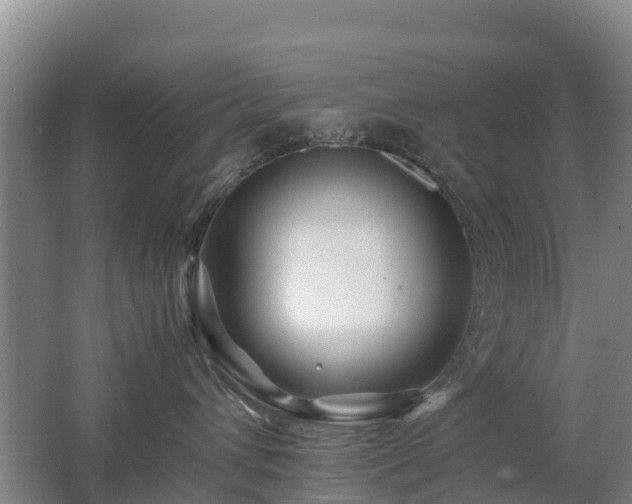 X0000062620432200512230951