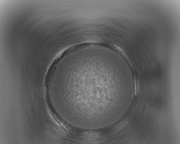 X0000062620435200512230950