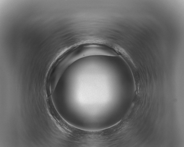 X0000062620436200512230951