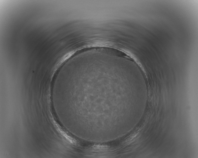 X0000062620437200512230951