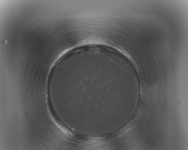 X0000062620438200512230951