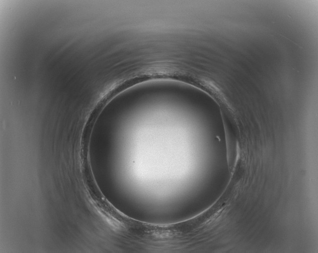 X0000062620439200512230951