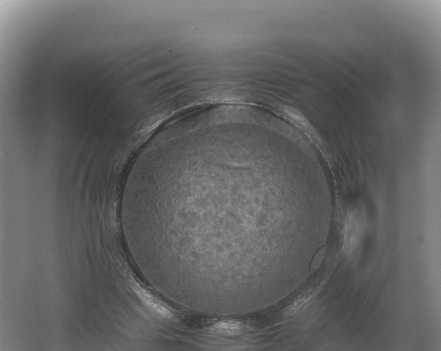 X0000062620441200512230951