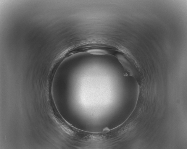 X0000062620442200512230951