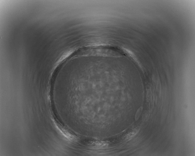 X0000062620443200512230951
