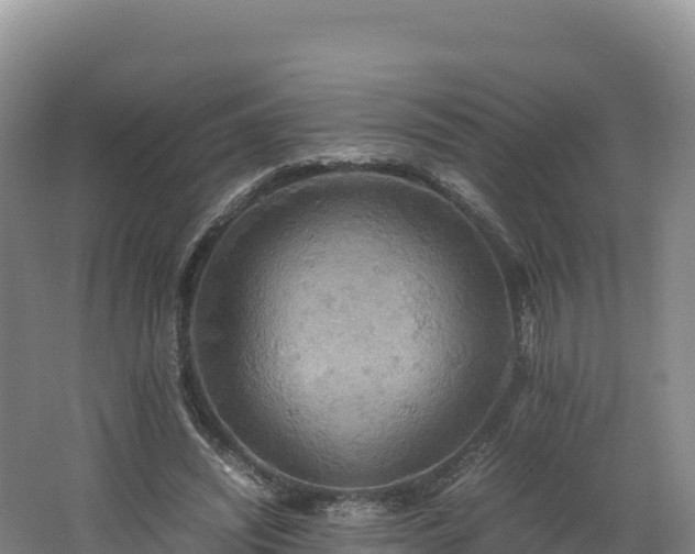X0000062620444200512230951
